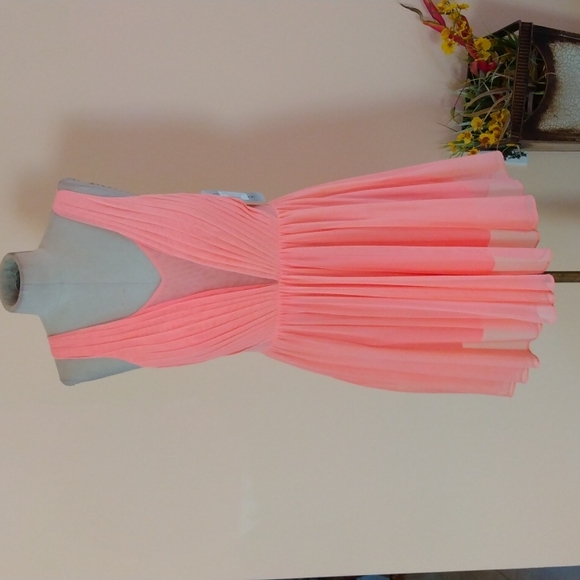 Nina Ferre Couture Dress.